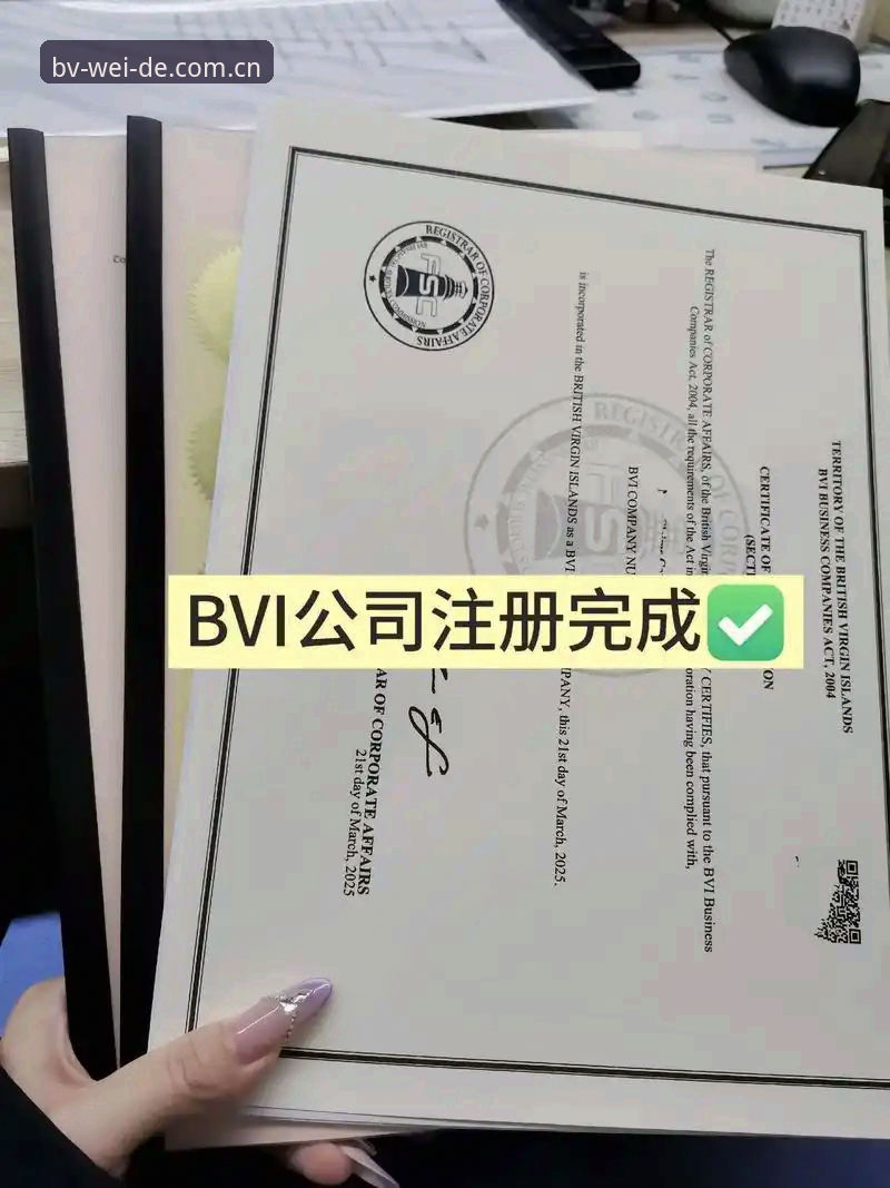 bv官网注册流程 掌握bv官网注册流程的7个关键步骤,开启伟德体育平台新体验
